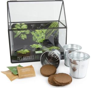 Petit serre - herbes aromatiques cadeau pour une femme de 75 ans - petit serre herbes aromatique