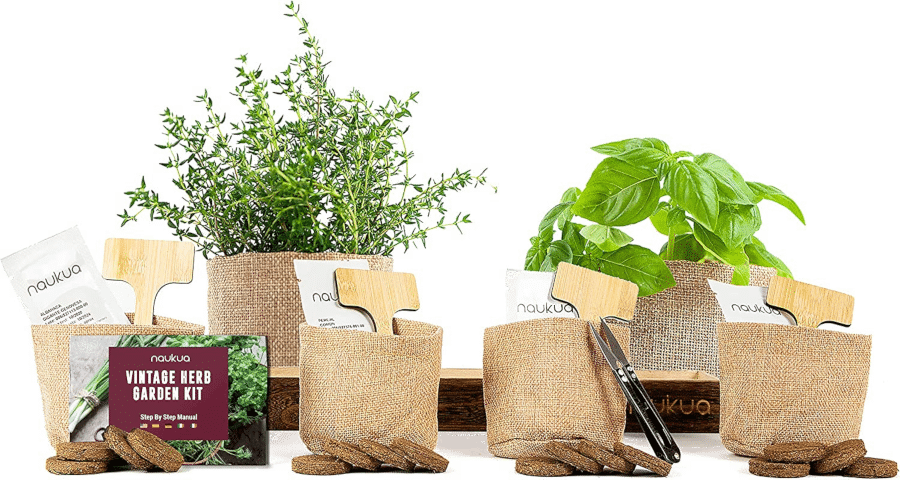 kit de culture - herbes aromatiques