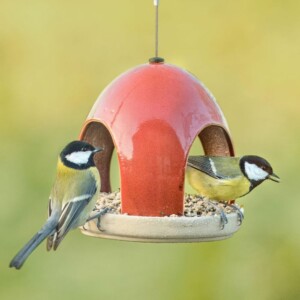 Cadeau pour Grand-mère - Mangeoire oiseaux mangeoire oiseaux - cadeau fête des grands-mères