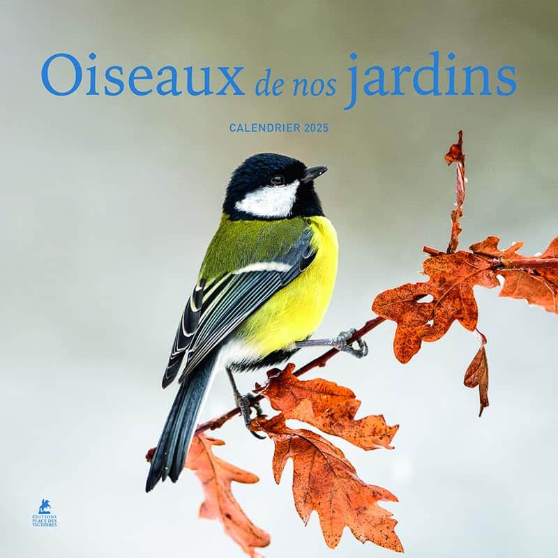 Calendrier pour une femme - oiseaux