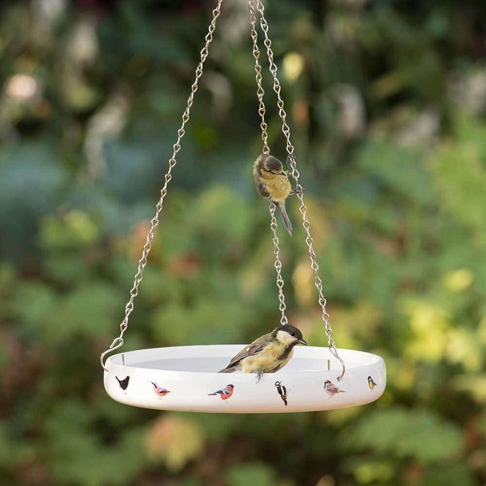 Bain d’oiseau bain d’oiseau abreuvoir oiseaux