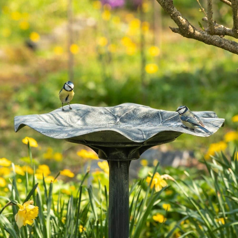 Bain d’oiseau en pied cadeau pour une femme d'environ 75 ans - Abreuvoir oiseaux