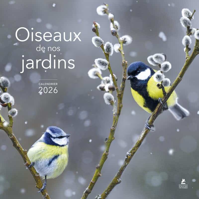 Calendrier pour une femme - oiseaux